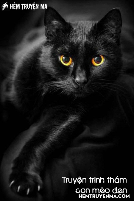 Con Mèo Đen