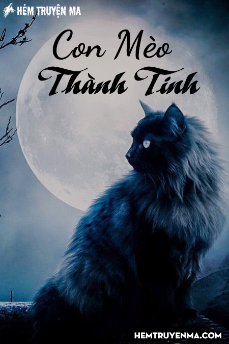 Con Mèo Thành Tinh - Truyện Ma