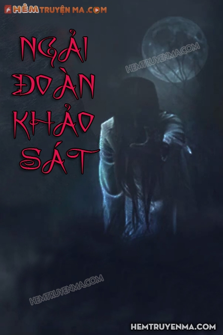 Ngải Đoàn Khảo Sát