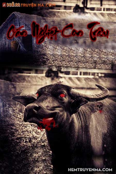 Oán Nghiệt Con Trâu