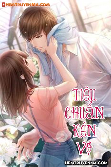 Tiêu Chuẩn Kén Vợ